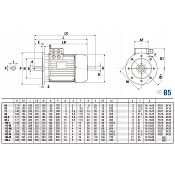 Silnik elektryczny jednofazowy 0,18kW 2800 obr/min. 63 B5
